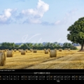 September-Blatt des Kalenders Bückeburg 2022, Strohballen in der Bückeburger Niederung bei Scheie, Foto: Rolf Fischer