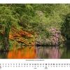 Delmenhorst 2023 – Mai –Rhododendronblüte in der Parkanlage Graft