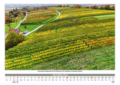 Murr 2026 – Eine besondere Augenweide sind die Weinberge um die Honatskelter in herbstlicher Färbung – Foto: Werner Kuhnle