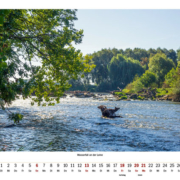 Neustadt am Rübenberge 2025 - Kalender Manufaktur