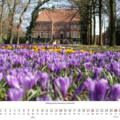 Frühling auf Gut Altenkamp, Aschendorf – Papenburg 2027