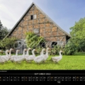 Bauernhaus mit Gänsen in Meerbeck, Foto: Rolf Fischer