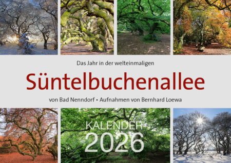 Das Jahr in der welteinmaligen Süntelbuchenallee von Bad Nenndorf – Aufnahmen von Bernhard Loewa – Titelseite