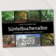 Das Jahr in der welteinmaligen Süntelbuchenallee von Bad Nenndorf – Aufnahmen von Bernhard Loewa – Kalender 2027 – Titelseite