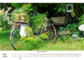 Westen 2026 – Blumen-Fahrrad für Insekten – Foto: Reinhold Heckmann